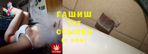 мдпв Няндома