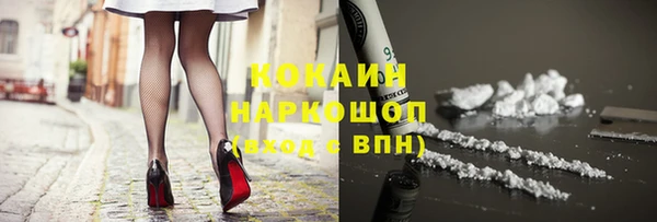 мдпв Няндома