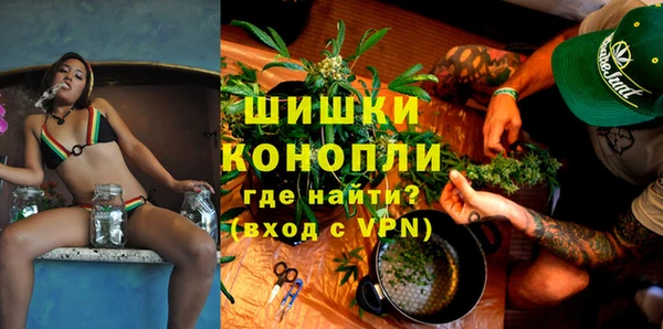 мдпв Няндома