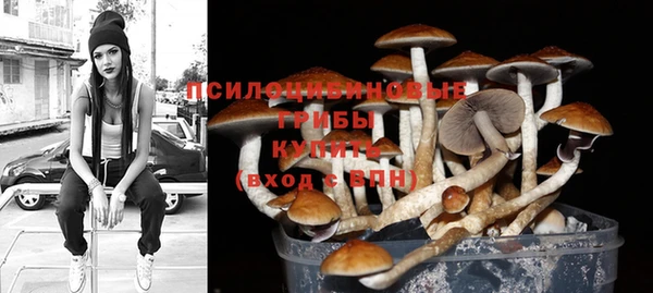 герыч Осташков