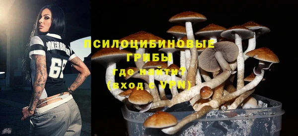 мдпв Няндома